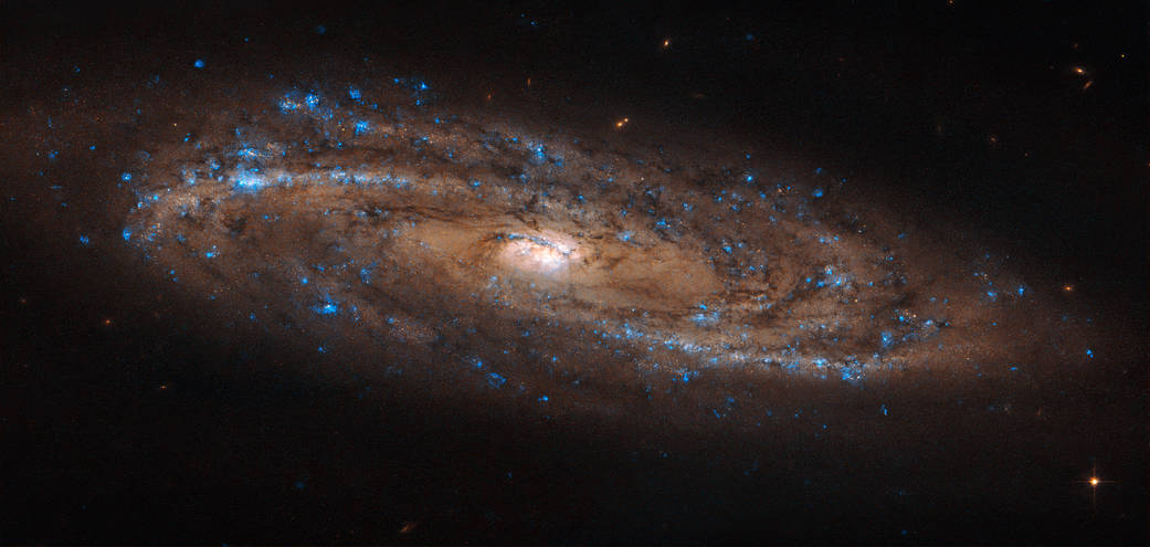 NGC 4100 Gökadası