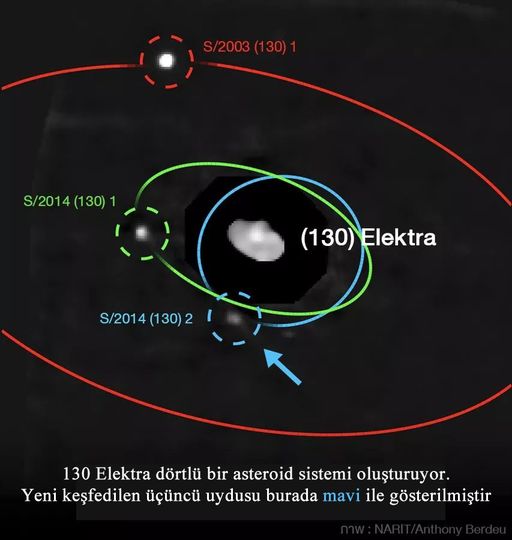 Dörtlü Asteroid sistemi