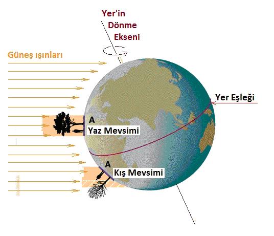 Şekil 1.25